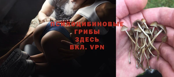 МДПВ Балахна