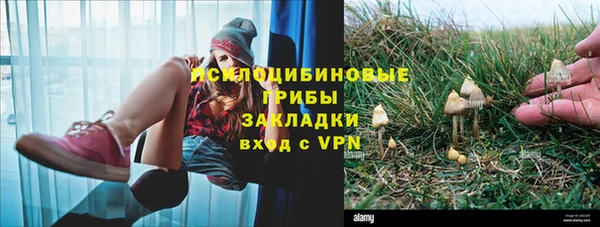 каннабис Беломорск