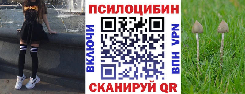 KRAKEN онион  Западная Двина  Галлюциногенные грибы Psilocybine cubensis 