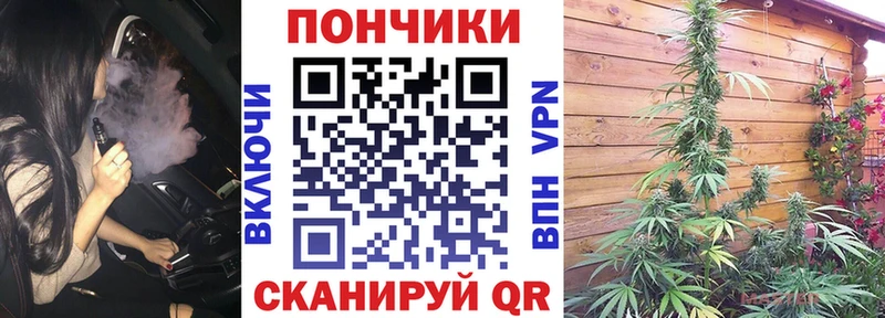 кракен ССЫЛКА  как найти наркотики  Западная Двина  Бошки Шишки Ganja 